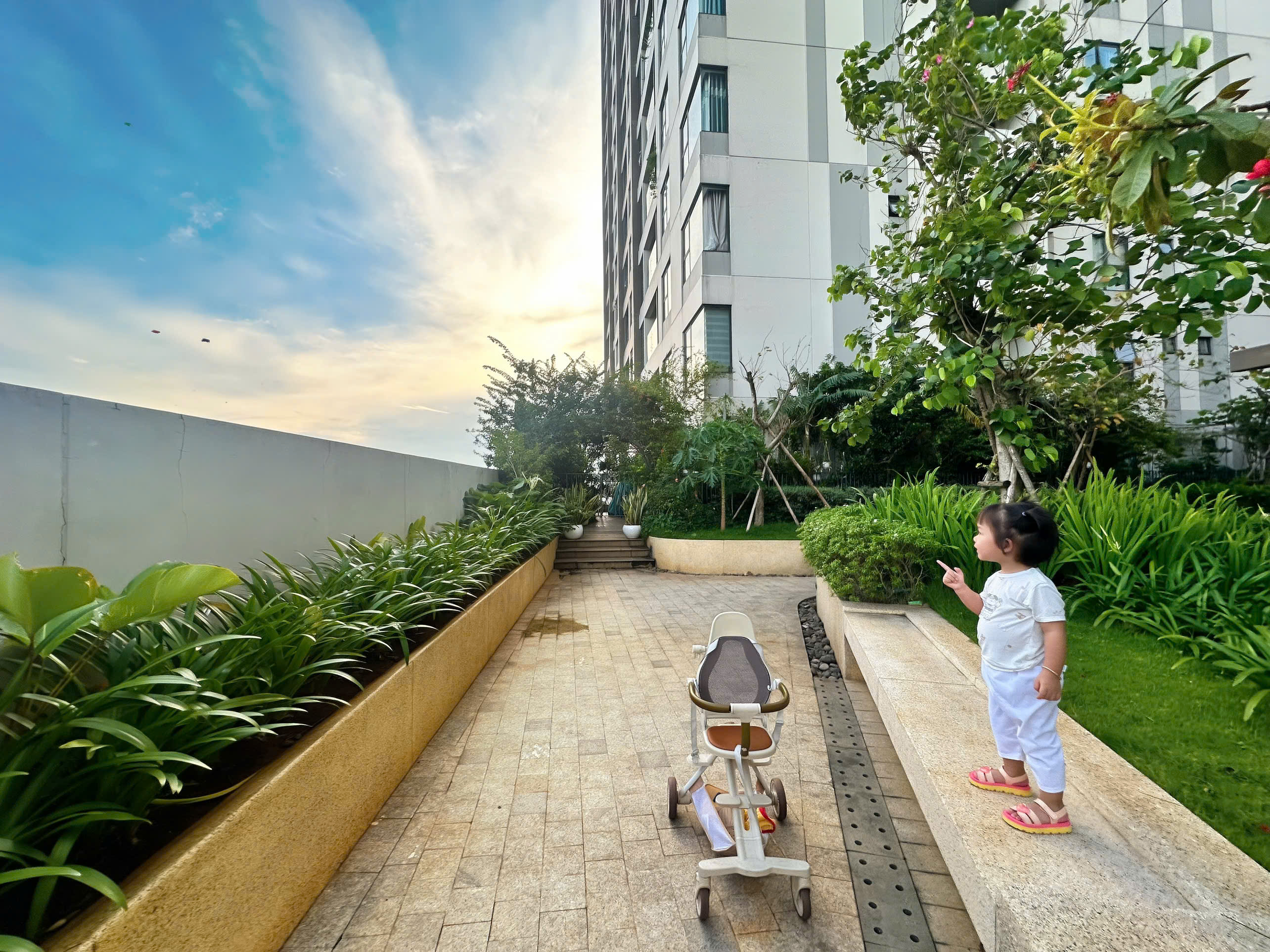 Bầu trời của con