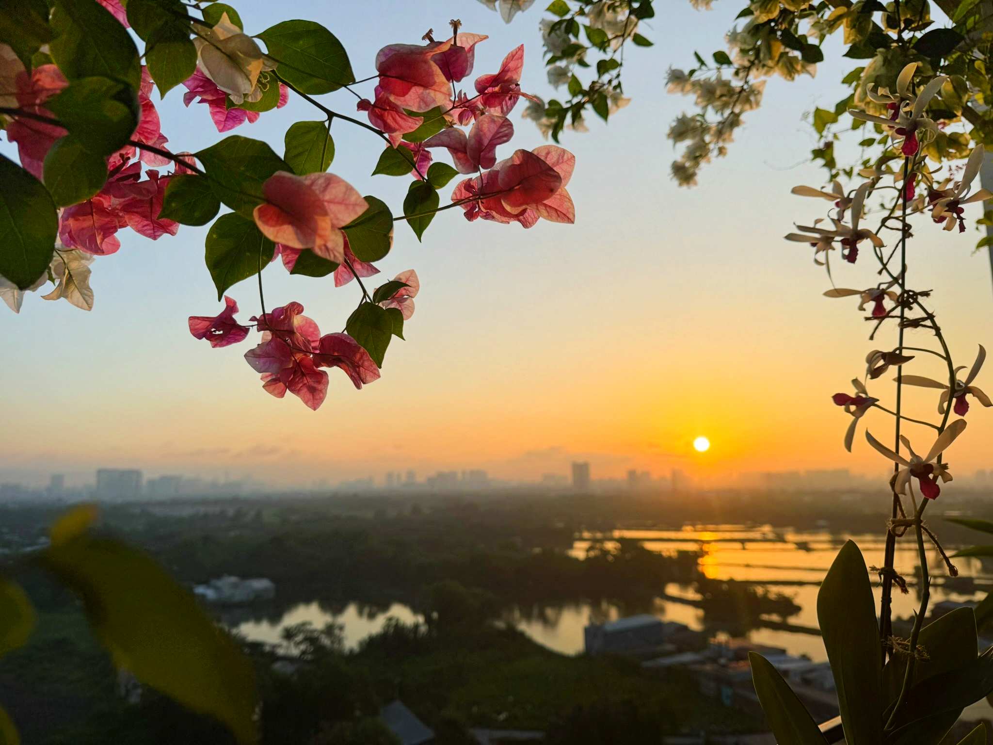 Bình minh Mizuki Park, Nam Long