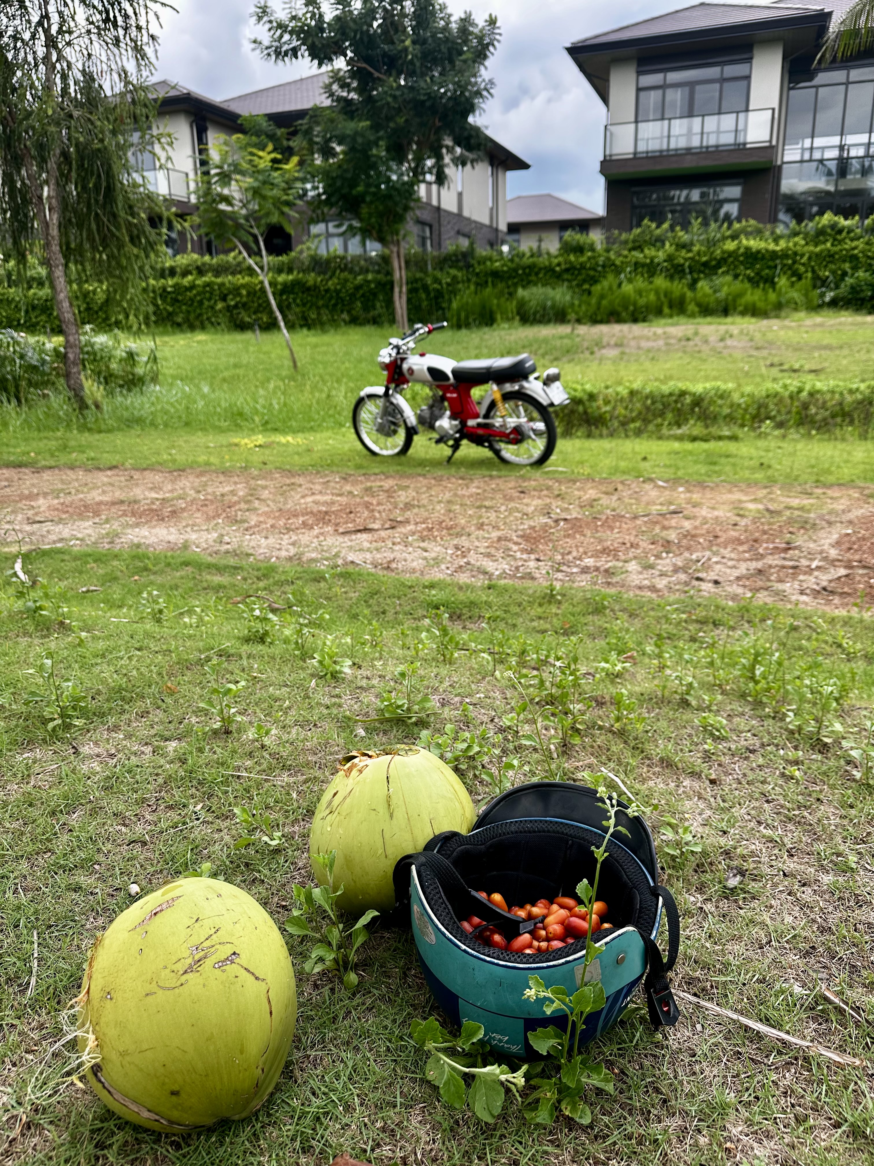 Waterpoint ăn gì